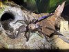 IMG_0385.jpeg