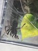 IMG_9626.jpeg