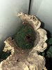 IMG_0231.jpeg