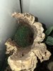 IMG_0199.jpeg