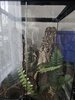 20250607_075248.jpg
