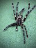 IMG_0583.jpeg