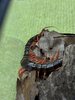 IMG_3894.jpeg
