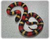 pueblan-milksnake-2.jpg