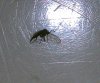 IMAG0411.jpg