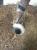 IMG_20111012_221529.jpg