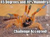 OBT challenge accepted.jpg