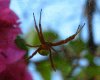 171_nature.jpg 171_nature.jpg