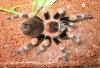 25092003smithi1.jpg