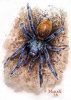 GBB-Arachno-Final.jpg