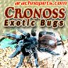 Cronoss