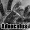 Advocatus