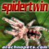 SpiderTwin