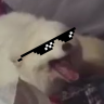 OdiousFox