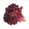 RedLettuce0126