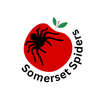 SomersetSpiders