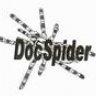 DocSpider