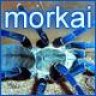 Morkai