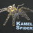 kamelspiders