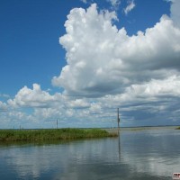 Everglades