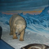 Polar bear diorama