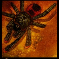 ¥ameon Tryes To Paint A Tarantula