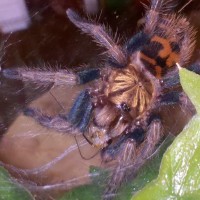 Img 20101123 123219