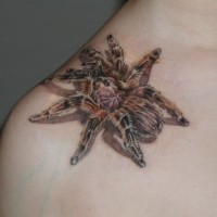 Rosea Tatt