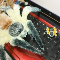 My Tarantula Toy Collection :)
