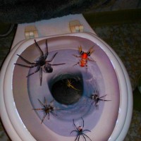 Spiders in toilet halloween decoration