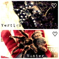 Hunter and Vertigo!
