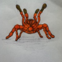 OBT I Drew