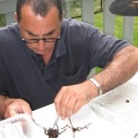 4th Annual BC Arachnoparty