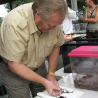 4th Annual BC Arachnoparty