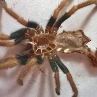 another shot