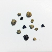 Tarantula Pellets