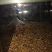 OBT Gettin' Her Spook On!