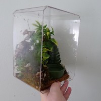 Tarantula Enclosure Arboreal B 1