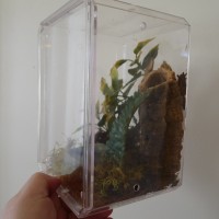 New Enclosure 3