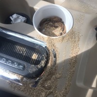 Spilled a tub of superworms all over my car...