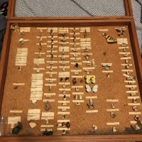 Bug board