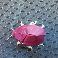 Origami Scarab [1/3]