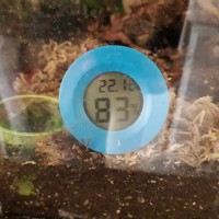 Thermometer Hygrometer