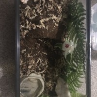 T. Strimi sub enclosure