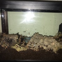 Escanor’s enclosure