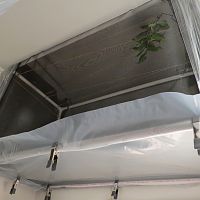 Trichonephila clavipes Enclosure