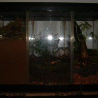 Picture001