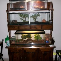 Some of my enclosures