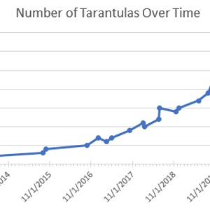 Tarantulas Owned Over Time: 2/19/2021