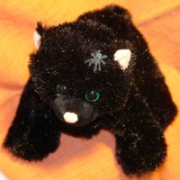 Halloween Versicolor